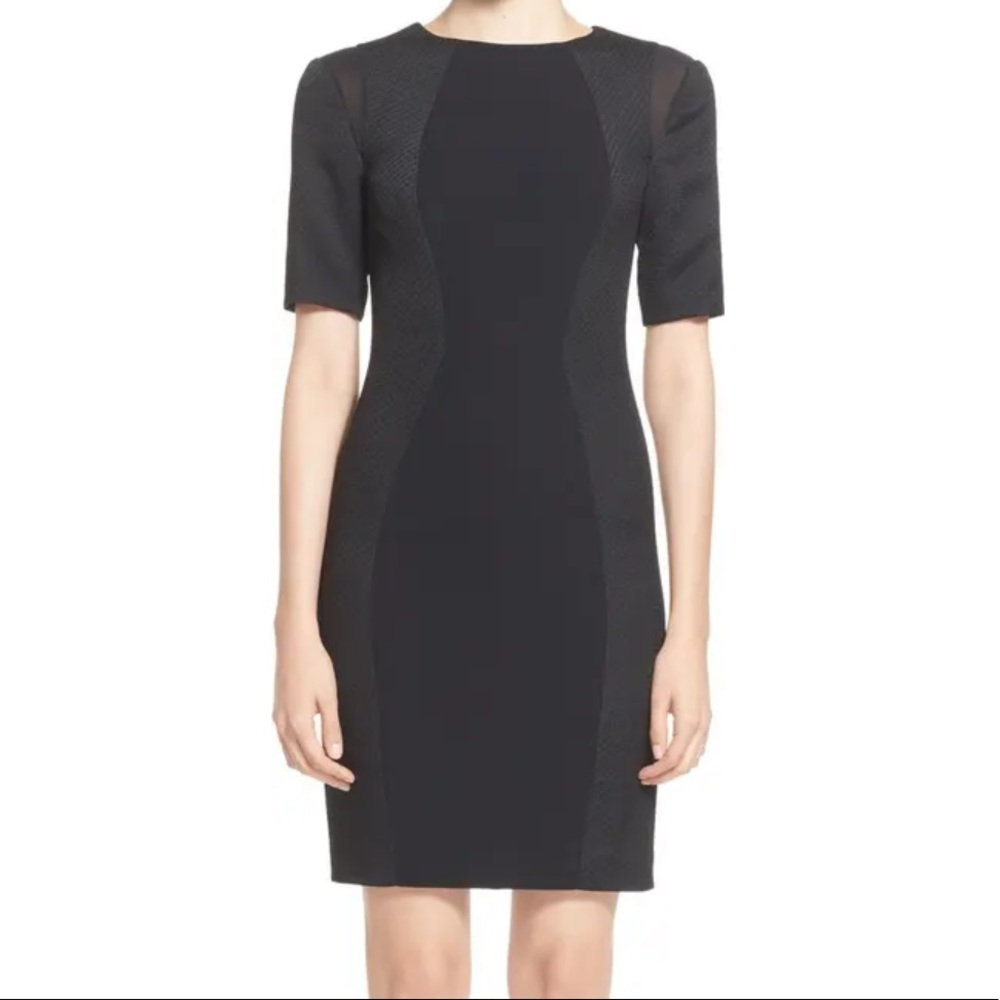 Ted Baker Abrial Mesh Panel Body-Con Dress